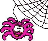 Spiders Web